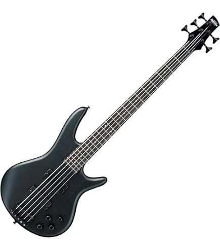 Amazon.com: Ibanez Gio SR 5 String Electric Bass - Black : Musical